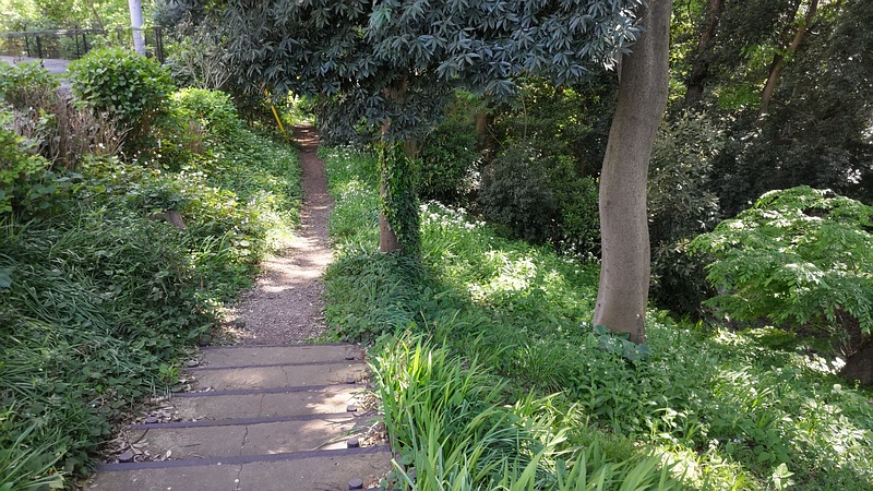 希望が丘水の森公園 横浜市旭区希望が丘水の森公園