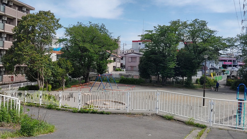 トウネズミモチ 横浜市旭区鶴ヶ峰鶴ヶ峰本町公園