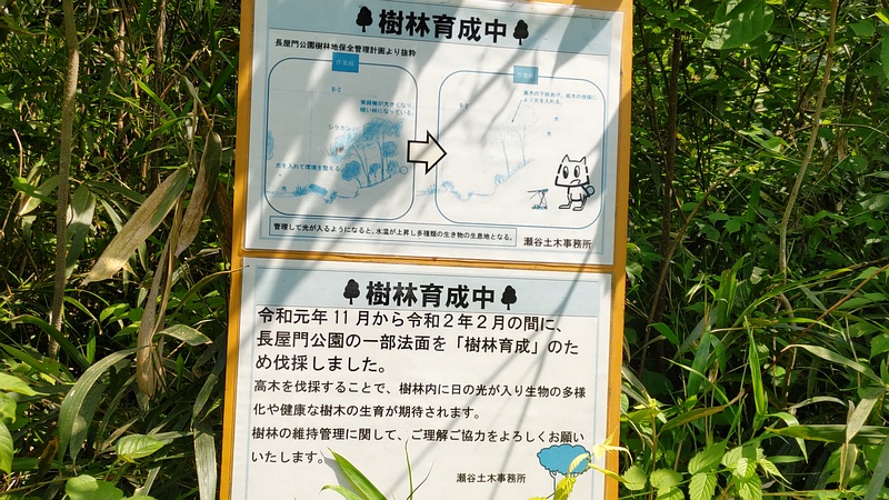 樹林育成中の掲示 横浜市瀬谷区長屋門公園