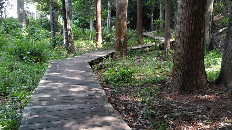 長屋門公園 横浜市瀬谷区長屋門公園