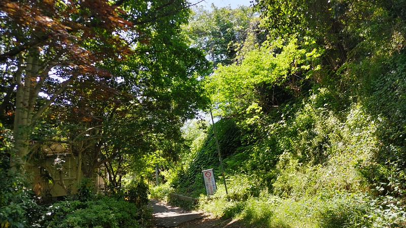 帷子川親水緑道 横浜市旭区帷子川親水緑道