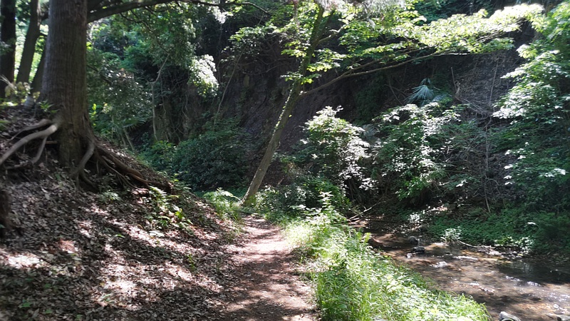 帷子川親水緑道 横浜市旭区帷子川親水緑道