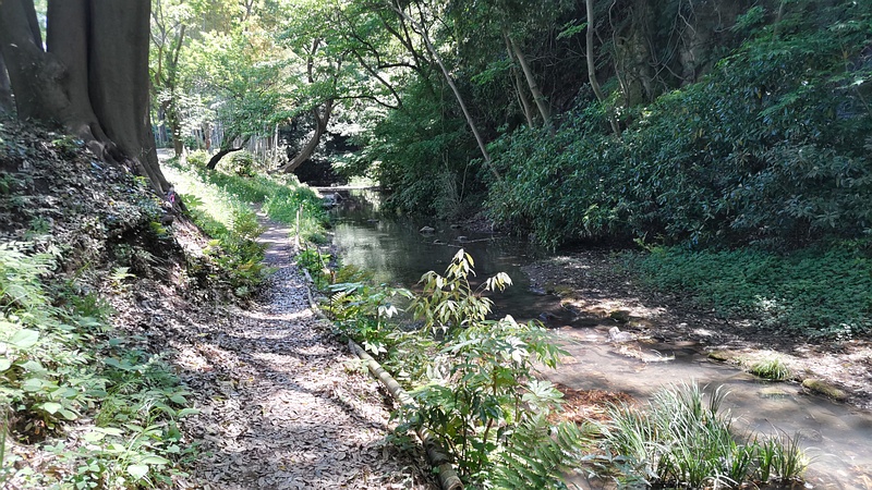 帷子川親水緑道 横浜市旭区帷子川親水緑道