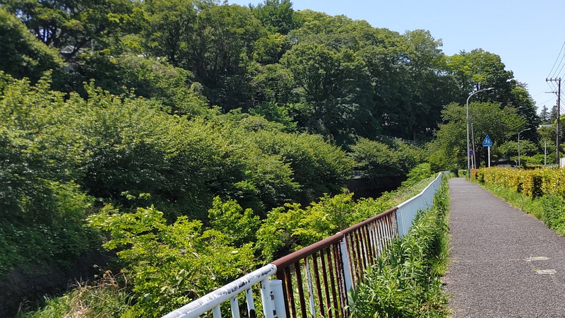 遊歩道 横浜市旭区今宿東町