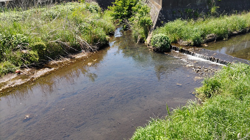帷子川上流の合流点 横浜市旭区今宿西町