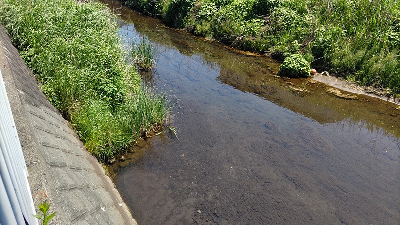 帷子川上流 横浜市旭区今宿西町
