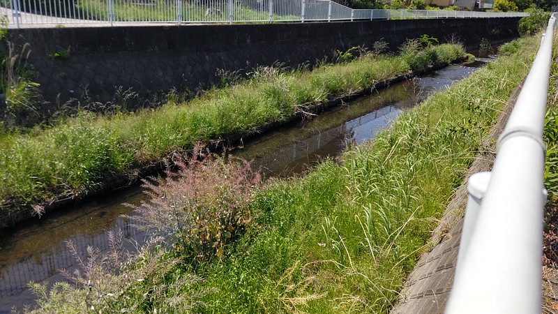 帷子川上流 横浜市旭区今宿西町