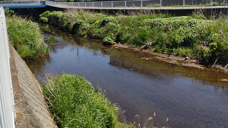 帷子川上流 横浜市旭区今宿西町