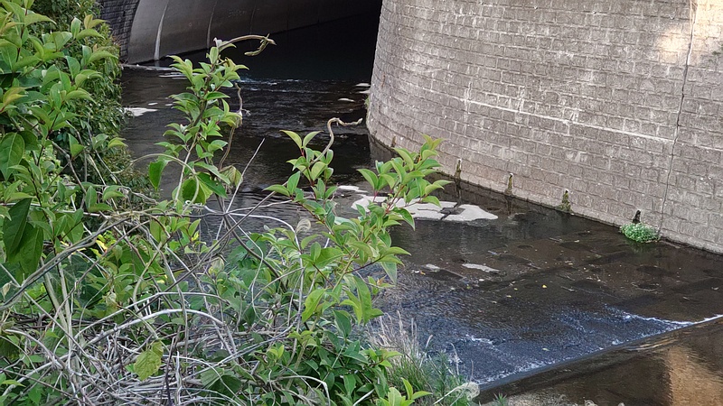 帷子川捷水路トンネル付近 横浜市旭区今川町