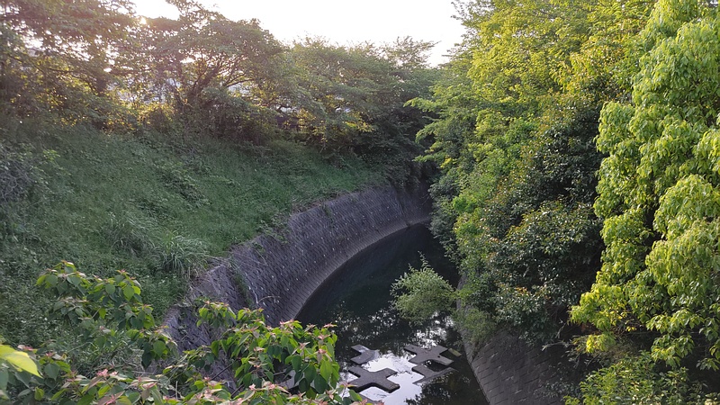 帷子川支流 横浜市旭区鶴ヶ峰