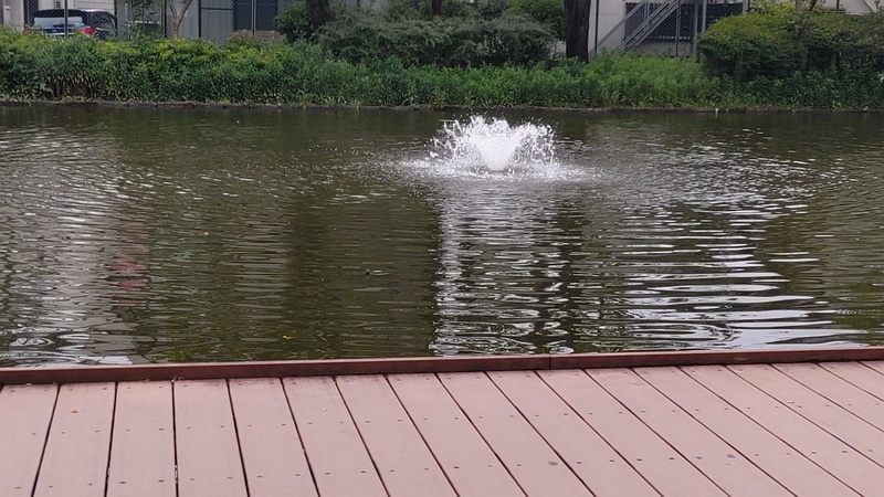 ひょうたん池の噴水 東京都大田区平和の森公園