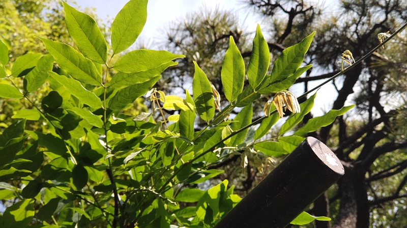 フジ 東京都大田区平和島公園