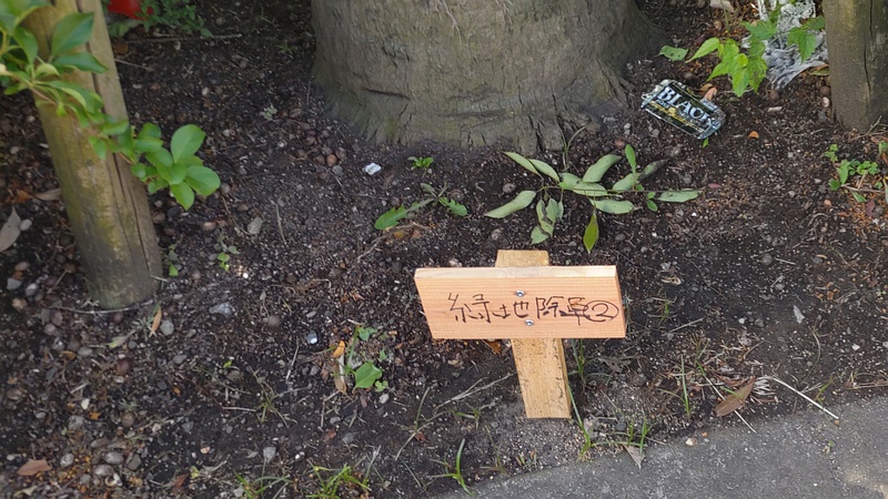 陸地雑草②の立札 東京都大田区大和大橋