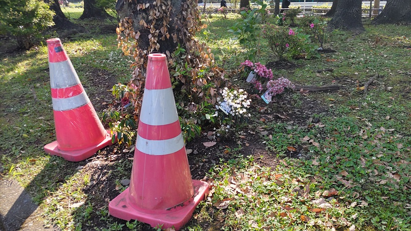 花壇 東京都大田区平和島公園