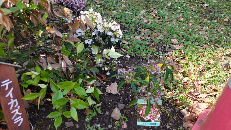 花壇 東京都大田区平和島公園