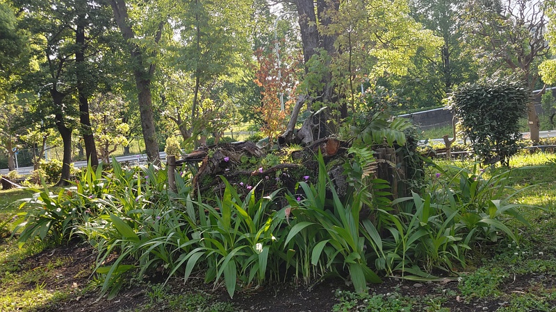 花壇 東京都大田区平和島公園