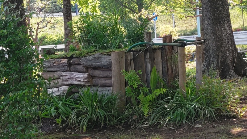 花壇 東京都大田区平和島公園
