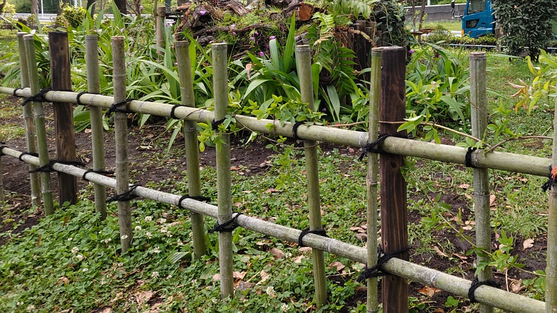 花壇 東京都大田区平和島公園