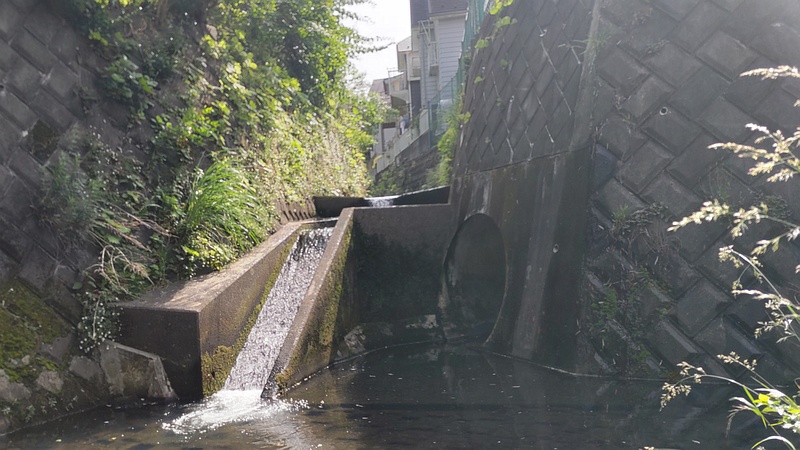 帷子川旧川 横浜市旭区今宿東町