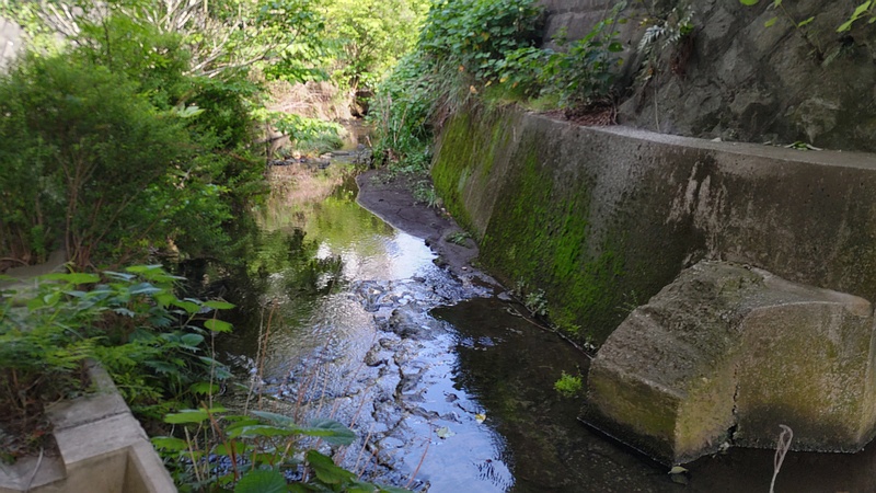 帷子川旧川 横浜市旭区今宿東町