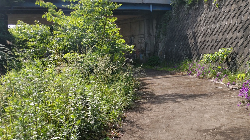 遊歩道 横浜市旭区今宿東町