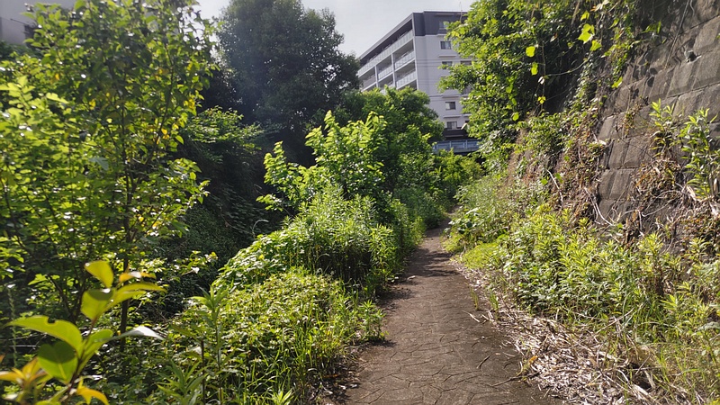 遊歩道 横浜市旭区今宿東町