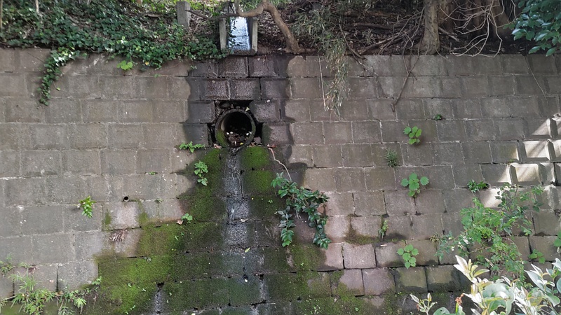 帷子川旧川 横浜市旭区今宿東町
