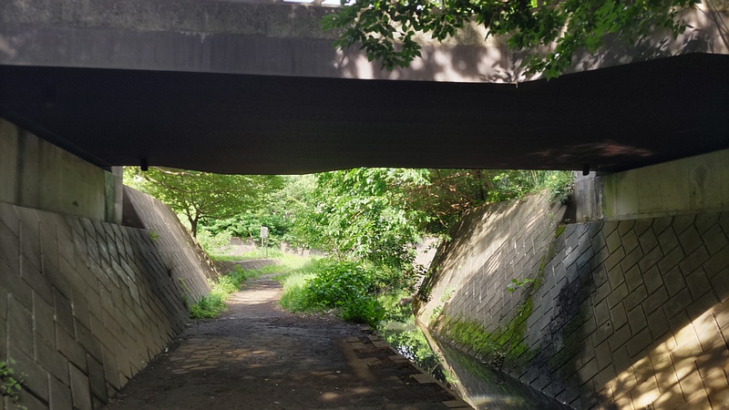 遊歩道 横浜市旭区今宿東町