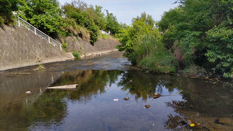 帷子川本流合流地点 横浜市旭区今宿東町