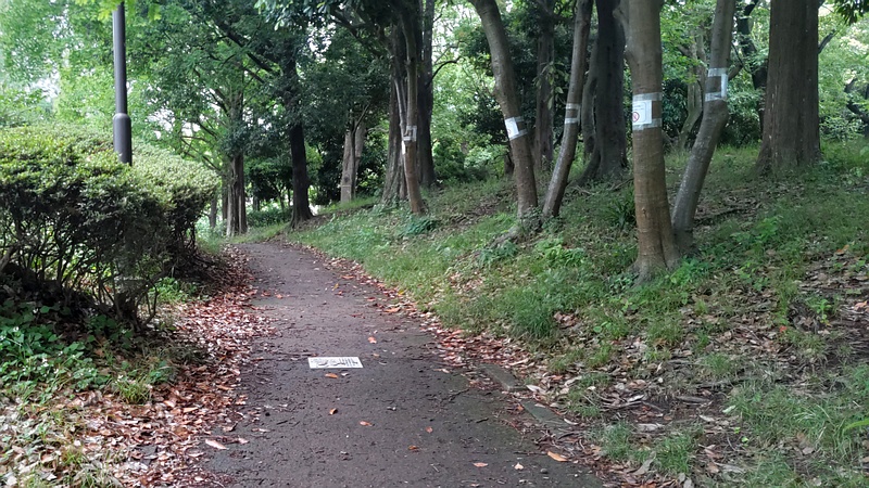 遊歩道 東京都大田区平和の森公園