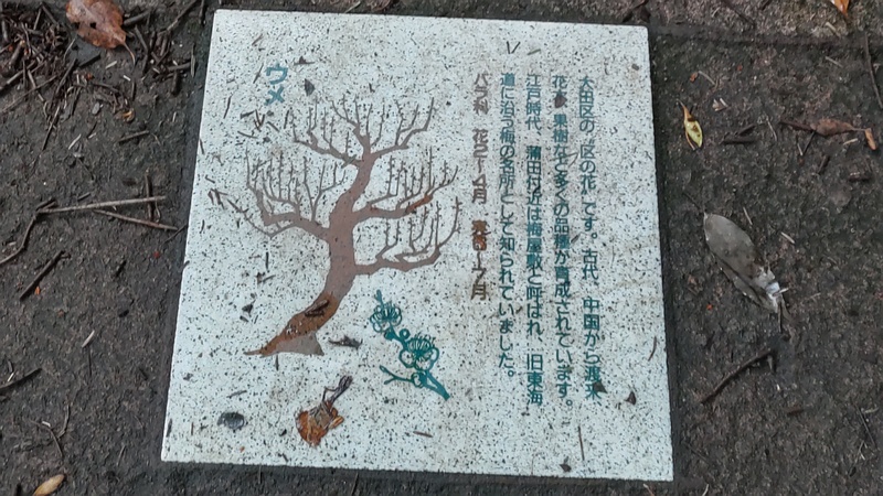 遊歩道埋込プレートのウメ 東京都大田区平和の森公園