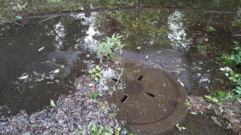 遊歩道の冠水 横浜市旭区希望が丘水の森公園