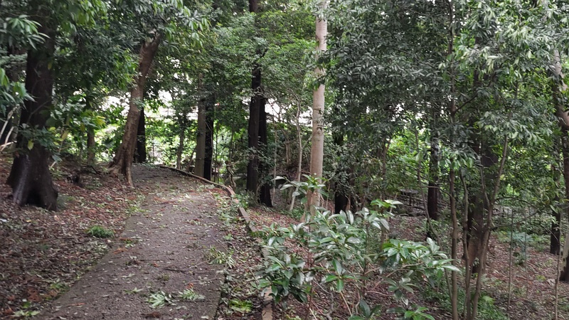 大雨後の遊歩道 横浜市瀬谷区長屋門公園