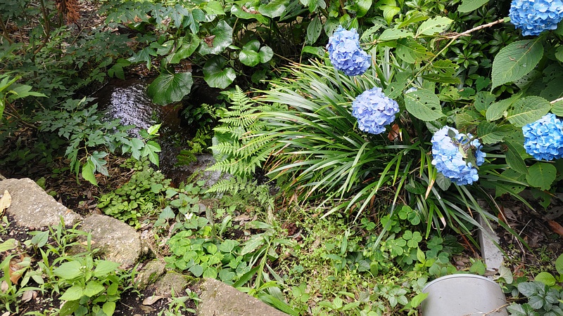 水源池 横浜市瀬谷区長屋門公園