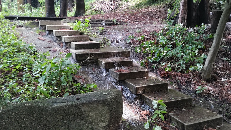 大雨後の長屋門公園 横浜市瀬谷区長屋門公園