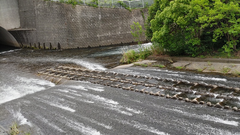 帷子川合流地点 横浜市旭区今川町