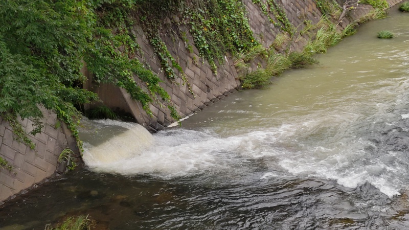帷子川新流 横浜市旭区鶴ヶ峰