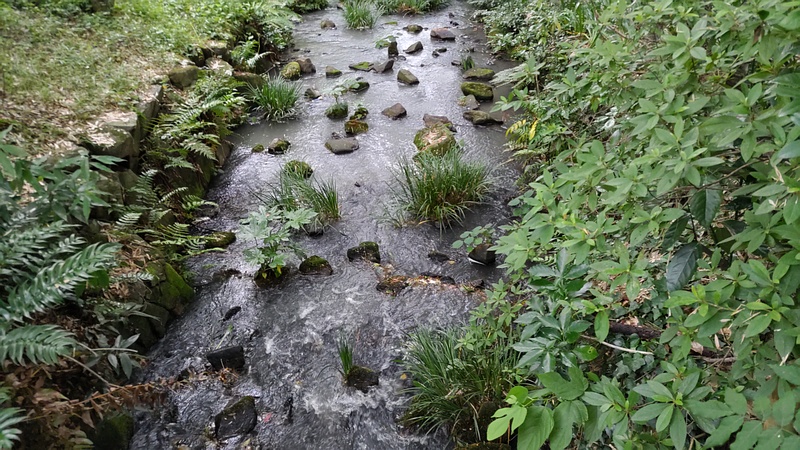 帷子川親水緑道 横浜市旭区帷子川親水緑道