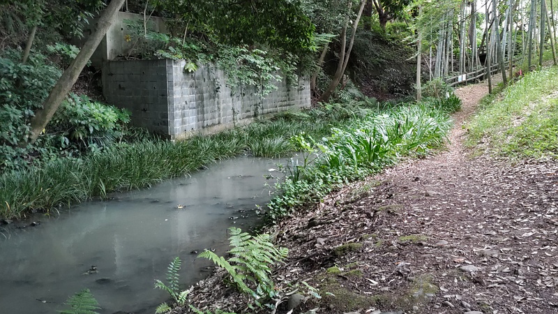 帷子川親水緑道 横浜市旭区帷子川親水緑道