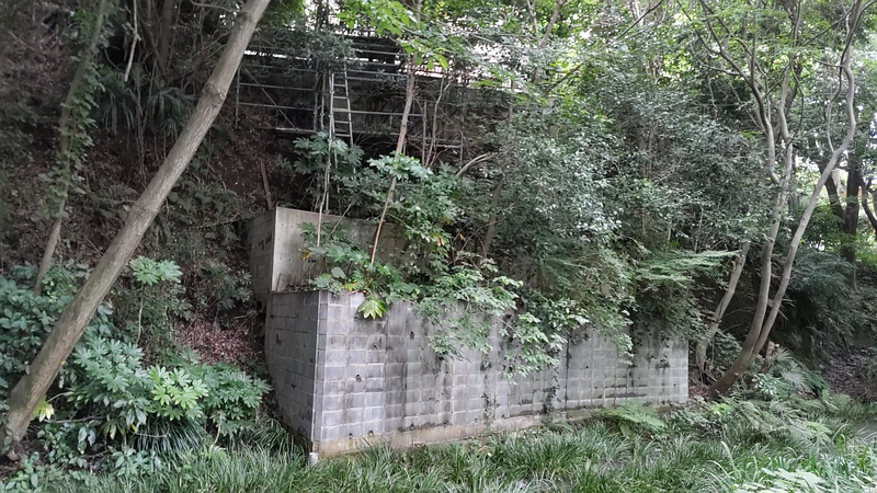 帷子川親水緑道 横浜市旭区帷子川親水緑道