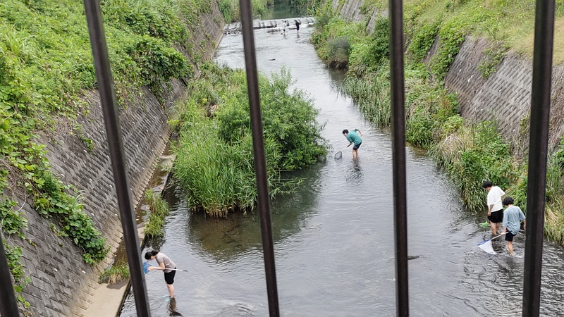 川遊び 横浜市旭区鶴ヶ峰本町