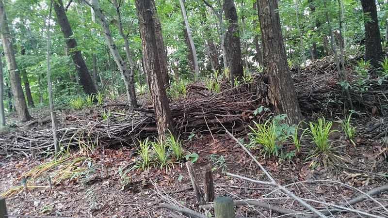 さいわいふるさと公園 川崎市幸区さいわいふるさと公園