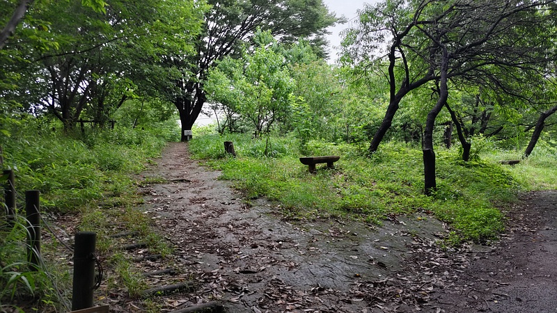 さいわいふるさと公園 川崎市幸区さいわいふるさと公園