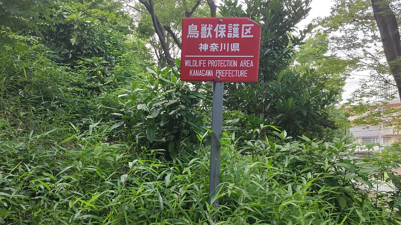 鳥獣保護区の掲示 川崎市幸区夢見ヶ崎公園