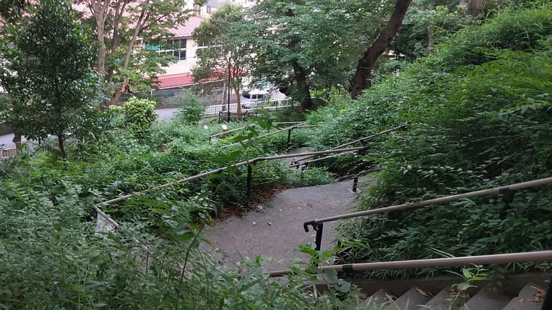 夢見ヶ崎公園遊歩道 川崎市幸区夢見ヶ崎公園