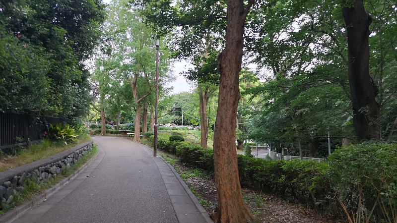 夢見ヶ崎公園遊歩道 川崎市幸区夢見ヶ崎公園