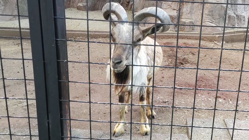マーコール 川崎市幸区夢見ヶ崎公園