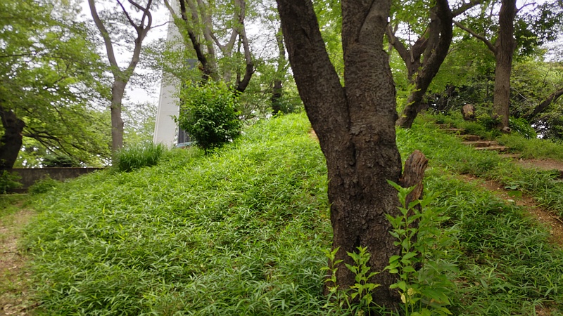 加瀬台２号墳 川崎市幸区夢見ヶ崎公園