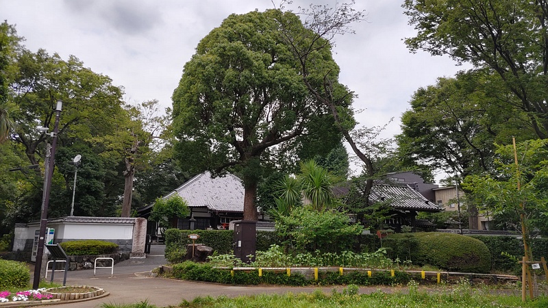 了源寺 川崎市幸区夢見ヶ崎公園