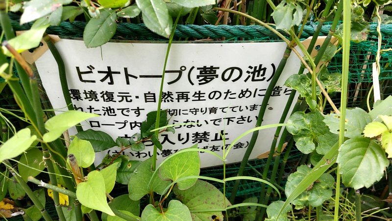 ビオトープの掲示 川崎市幸区さいわいふるさと公園
